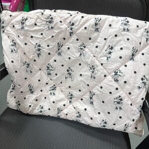 Pottery Barn Disney Shams set